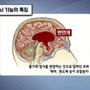 브레인학습발달클리닉