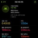 종합운동장로 | 영천 [종합스포츠센터 수영장] 50m 레인 오리발 자유수영 후기