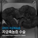 하슬라동물병원 이미지