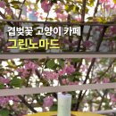 좌수영로 | 부산 그린노마드 겹벚꽃 고양이 카페 후기 주차장까지 정리