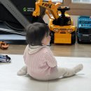 두두어린이집 | 지금 같은 환절기에 딱, 4계절 활용가능한 미니두두 minidoudou (ver.1)