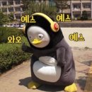 일신정보통신 | 2026년 윈도우 정품 구별 및 보안 팩트