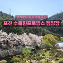 수목원프로방스 캠핑장 | 경기북부 벚꽃캠핑장 1티어 수목원프로방스 캠핑장 명당 11번 데크 인생캠핑 후기!