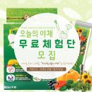 오늘야채 - 강서구 강서로16길 24 | 오늘야채