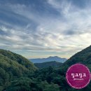 포레스트 당구클럽 이미지