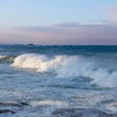 모아나(moana) 이미지