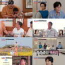 (주) 작은거인 스포츠경향