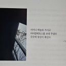 디카시의 이해 이미지