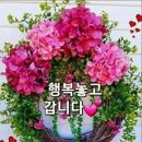 오늘더예쁜눈