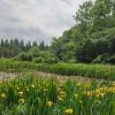 점성공원 이미지