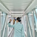한국공항㈜제주지점 | 대한항공 지상직 2024년 11월 종합직 신입 채용