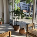 사평마을 | 전주 중화산동 신상카페 마쓰커피 내돈내산 주말 방문 후기