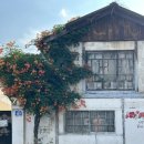 맘스터치 자인점 이미지