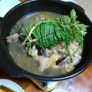 산야초산삼백숙 네이버블로그