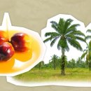 동남바이오농장 이미지