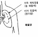 스킨스쿠바 중급과정 교재 이미지