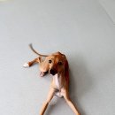 마이펫플레이텔 이미지