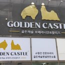 골든캐슬 쇼룸 이미지