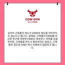 카우짐 백운역점 이미지