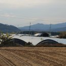 강남로2 이미지