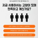 와이에스펫 | 고양이 모래 에스와이펫 장고캣 벤토나이트 사용후기