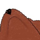 포토포이