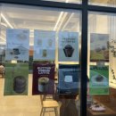 화성카인테리어 | 화성] 햇살이 머무는 공간, 새솔동 카페수놀에서 여유 한 모금, 내돈내산