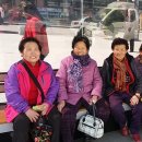 군청앞버스승강장 이미지