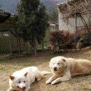 풍호농장 이미지