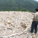 청자 태양광발전소 이미지