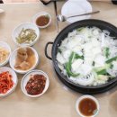 박속낙지 이미지