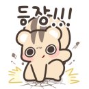 가자소프트 이미지
