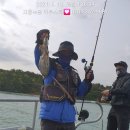 익투스 이미지