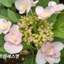 유앤미 이미지