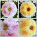 꽃;아름