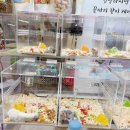 (주)코리아세븐 성남제일점 | 2026 대전 파충류 동반자, 컨벤션센터 주차 오픈런 후기