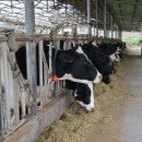 동림목장 이미지