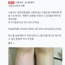 털털 이미지