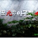 김포원 마산아구찜 이미지