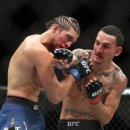 석사태권도체육관 이미지