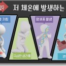 더쉼효소 이미지