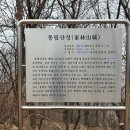 동림산성 | 청주 동림산성 (淸州 東林山城)