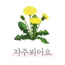 대구인테리어 이미지