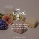 모레바 이미지