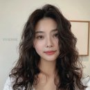 비비엔느 이미지