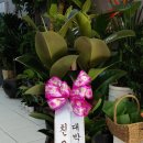 씨유 대전문화점 이미지