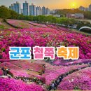 강진호수공원캠핑장 | 경기도 군포 가볼만한곳 군포철쭉축제 기본정보 철쭉동산 가수 라인업