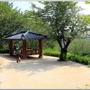 황령산유원지 생태숲 이미지