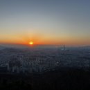 신점보다 더 정확한 타로 (내돈내산/광고아님)