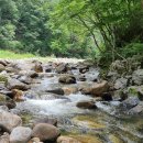 제1070차(9월6일) 강원 강릉 부연동계곡(트레킹) 산행안내 이미지